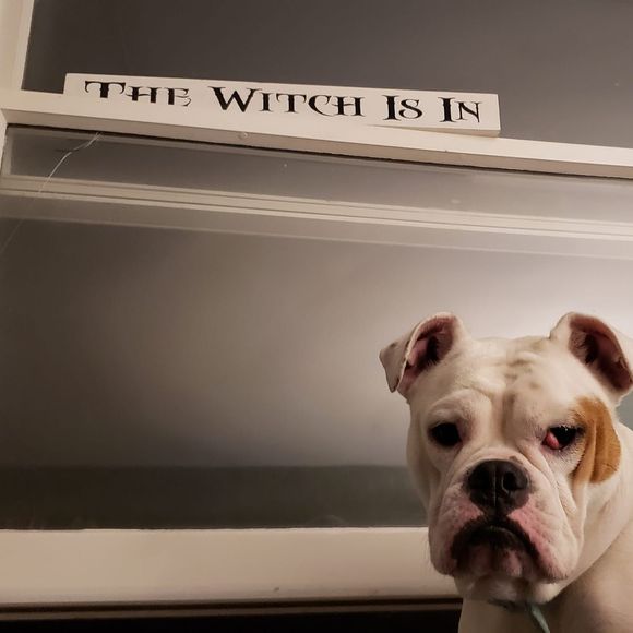 Meet your Posher, Joie - Picture 1 of 1